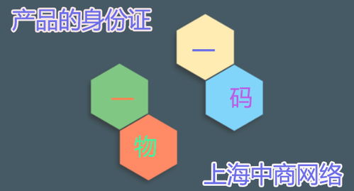 防伪标签查询与商品信息咨询服务 守护正品之道